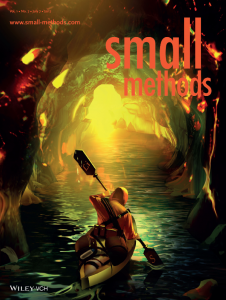 small methods 226x300 - small methods